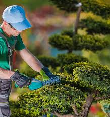 The Best Landscaping in Ballymount- Garden Services Dublin - Emerald Garden Services